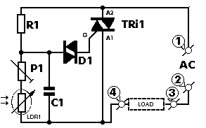 Automatic Night Light