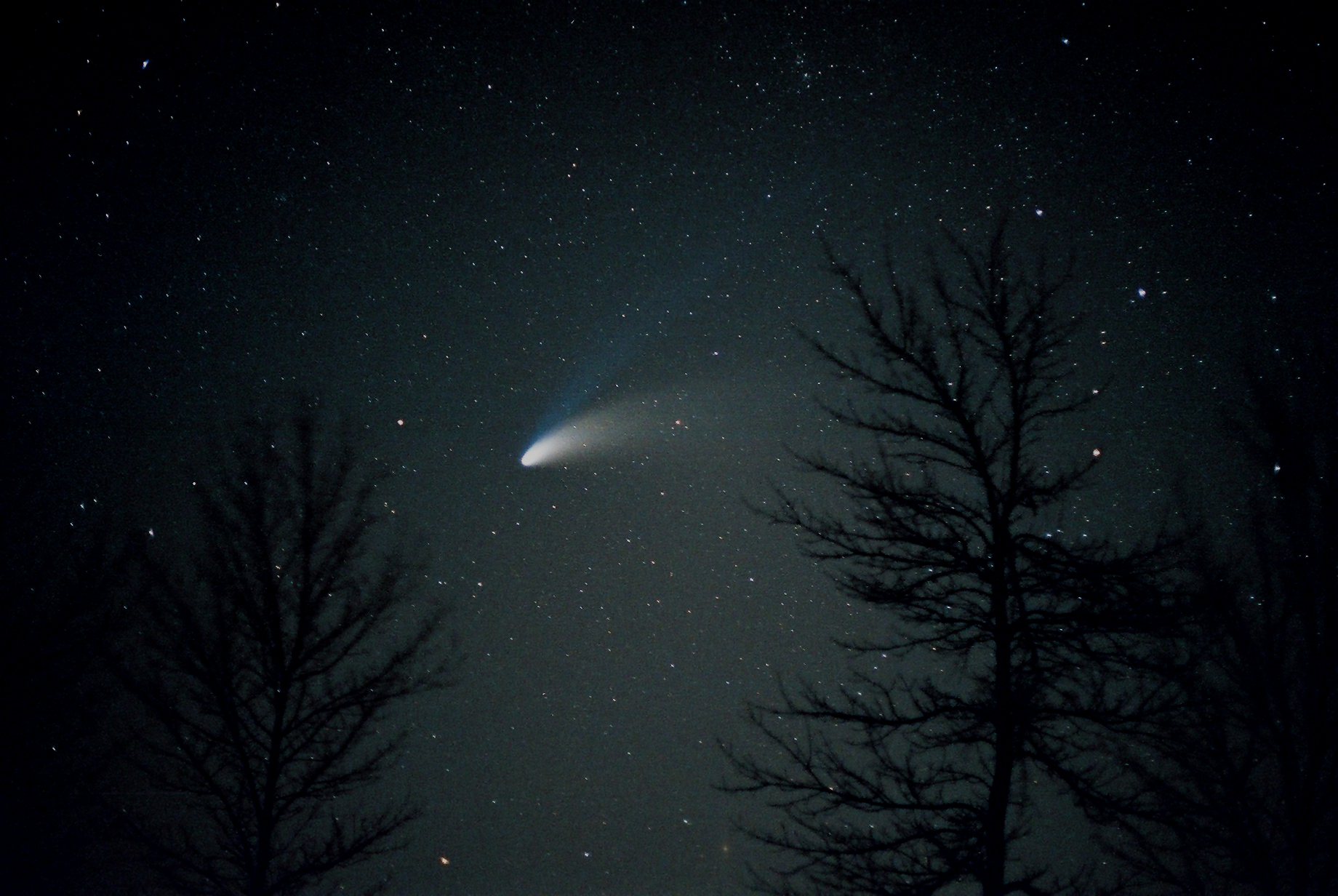 <b>Hale-Bopp 1997 photograph</b> (1997) : Figure 124 : Hale-Bopp (15 second exposure) : 